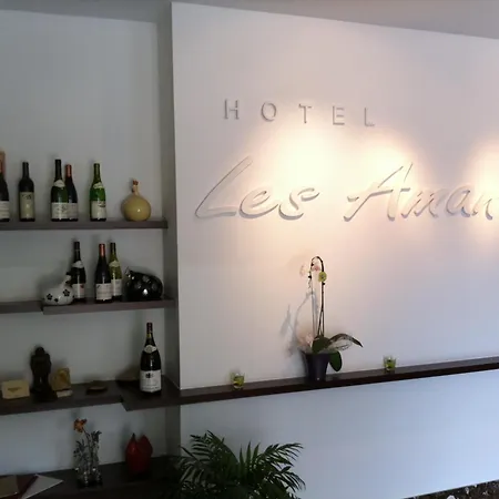 Hotel Les Amandiers Tournon-sur-Rhone